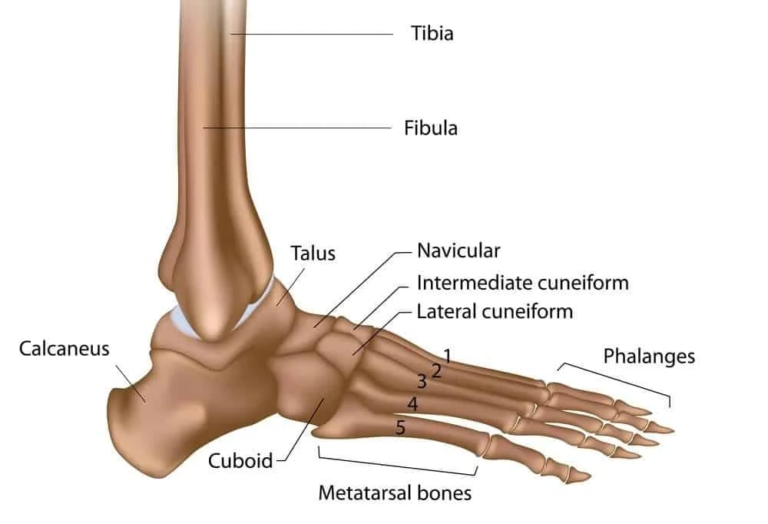 Fix Your F*ckin’ Feet