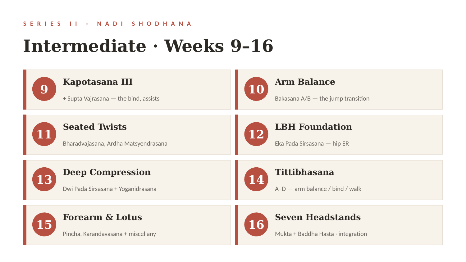 Intermediate - Weeks 9-16